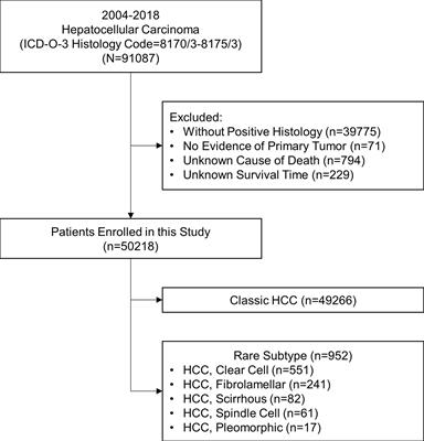 Epidemiological and Clinical Characteristics of Five Rare Pathological Subtypes of Hepatocellular Carcinoma